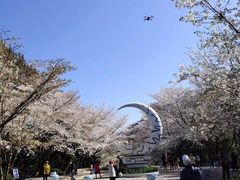 -杭州少年儿童公园
