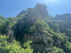 -大岭沟猕猴桃谷风景区