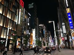 -全日本空输株式会社(上海办事处)