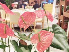 -川味里•商务宴请•团建聚餐(清湖店)