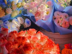 -循礼门鲜花花市(武汉循礼门店)