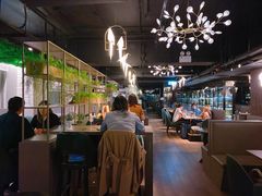 -Oasis Bar & Grill