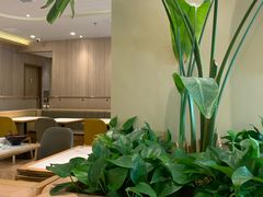 -泰煌鸡·上海白斩鸡·沪菜(平利店)