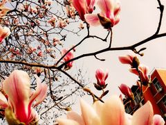 -江南赋(内蒙古大厦店)