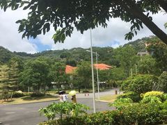 -厦门国家会计学院