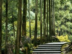-雁荡山风景名胜区