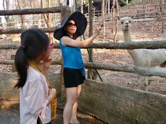 -清迈夜间动物园