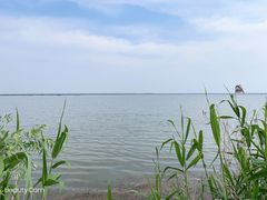 -焦岗湖旅游度假区