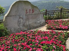 -铁山坪森林公园