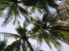 -三亚湾海居铂尔曼度假酒店