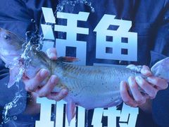 -老板恋上鱼(恒隆广场店)