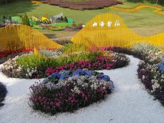 -广州市白云山风景名胜区