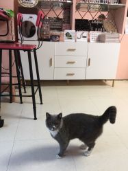 -Pink You美甲美睫纹绣定制中心