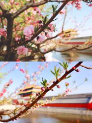 -TIME SPA科技美肤机构