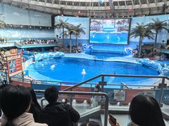 -海合安成都极地海洋公园