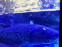 -观宴·品质赣菜(高新大道店)