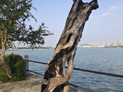 -无锡蠡湖国家湿地公园-蠡园