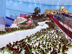 -广州热雪奇迹