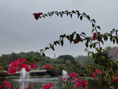-广州莲花山旅游区