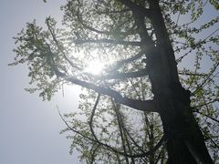 景点-百林公园-两江幸福广场