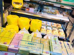 -蒲公英(五里店)