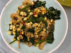 豆芽手撕面筋-石羊农庄