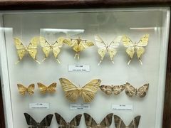 -陕西自然博物馆