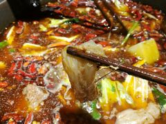 牛筋-受气牛肉·耙牛肉火锅(水晶郦城店)