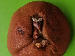 拿铁小圆-Juicy Bakery(大学路店)