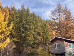 -苏木山森林公园