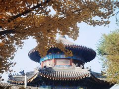 -大钟寺古钟博物馆