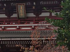 -浅草寺