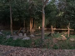 -清迈夜间动物园