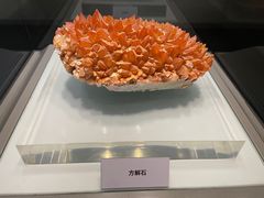 -青岛市博物馆
