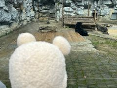 -黔灵山公园