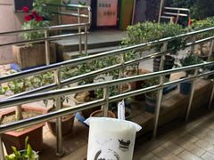 招牌原味酸奶紫米露-萌萌牛紫米露(烟台大学店)