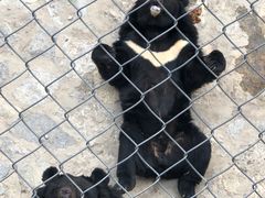 -石家庄市动物园