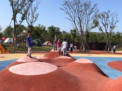 -春花秋色城市公园