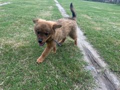 -前小桔亲子创意农场·草莓采摘·露营烧烤