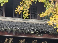 -青羊宫