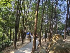 -火炉山森林公园