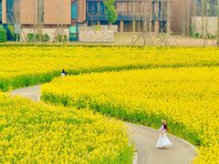 -中国天府农业博览园