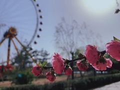 -北京石景山游乐园