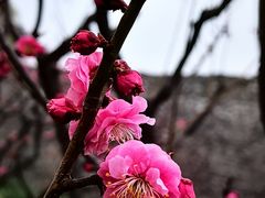 -北京明城墙遗址公园
