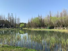 -暨阳湖生态园