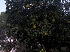 -石湖景区