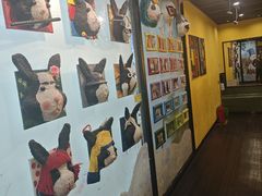 -杨梅红艺术教育(万象城教学中心)