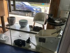 -哆趣宠物医院·眼科·内镜·急重症转诊中心(上海店)