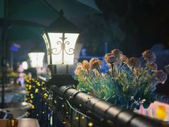 景观位-Sirena海妖日咖夜酒