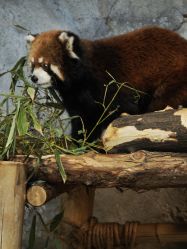 -Zoolung Zoolung动物主题公园(海信广场店)